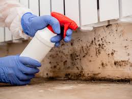 Best Mold Remediation for Healthcare Facilities in St Clairsville, OH